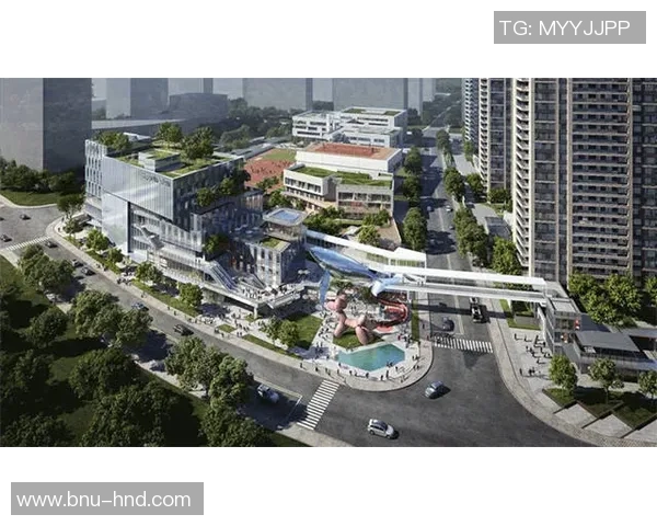 足球球星卡12收藏价值与竞技魅力深度解析 足球球星卡12收藏价值与竞技魅力深度解析